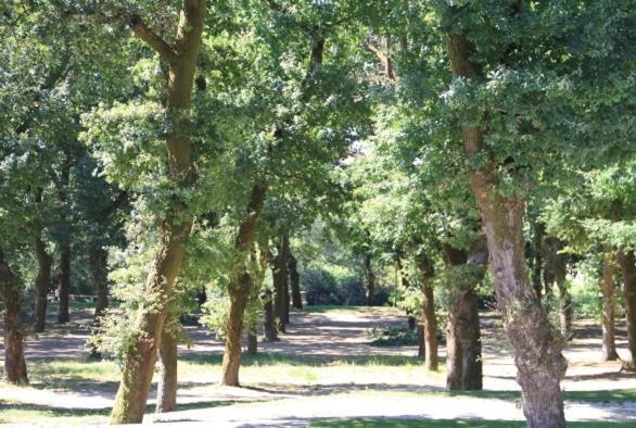 Alojamiento A Tafona Caldas De Reis Extérieur photo